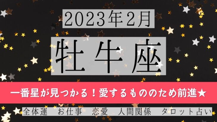 おうし座♉2023年2月 │全体運・恋愛・仕事・人間関係 テーマ別タロットリーディング