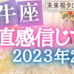 【牡牛座】♉おうし座🌈2023年2月🧡の運勢🌟🌟仕事とお金・人間関係［未来視タロット占い］