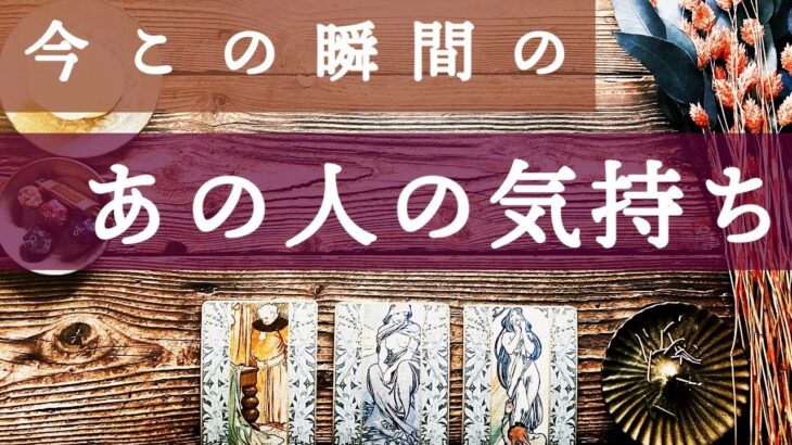 【辛口注意🌶】今この瞬間のあの人の気持ち｜恋愛タロット占い｜中辛🍛