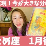 おとめ座♍️1月後半🔮夢の実現！！今が大きな分岐点！！