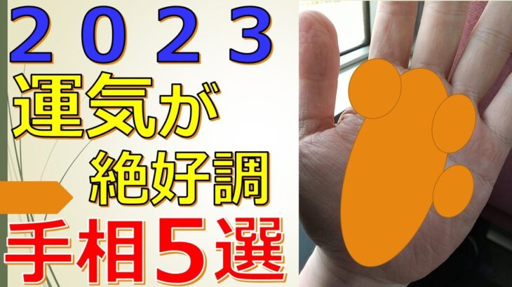 2023年にあれば運気最高！仕事や金運も上がり将来が楽しみな手相５選（今年の運勢・運気）