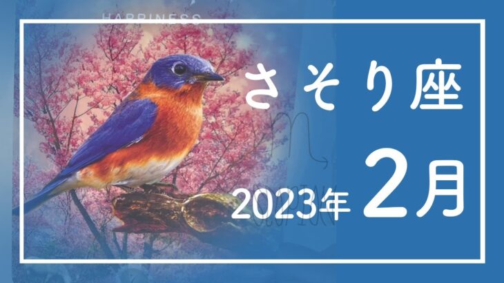 【さそり座】喜びの予兆！★2023年2月★タロットリーディング★【音声なし】【蠍座】