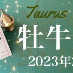 【おうし座】2023年2月♉️来た！ここ1番のいい流れ、喜びへの方向転換、トンネルの先の光、夜明けが見えてくる