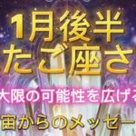 ふたご座⭐️1月後半⭐️“  最大限の可能性を広げる〜”⭐️ 宇宙からのメッセージ⭐️シリアン・スターシード・タロット⭐️Gemini ♊️