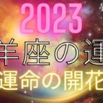 2023年　山羊座の運勢　運命の開花