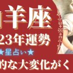 【山羊座】星占いメッセージ🌙2023年運勢　新時代の「扉」が開かれます🌈心から求めることが叶ってしまいます！とにかく楽しい時間です【仕事・恋愛・人間関係】【2023年保存版】