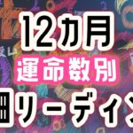 【数秘術&タロット】運命数別❣️🌟12ヶ月詳細リーディング🌟バイオリズムを知ってHappyな一年を✨