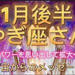 やぎ座さん⭐️1月後半⭐️“  パワーを思い出して拡大しましょう〜”⭐️ 宇宙からのメッセージ⭐️シリアン・スターシード・タロット⭐️Capricorn ♑️