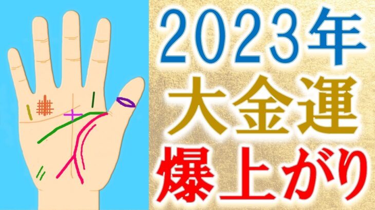 【手相 占い】2023年金運に強い開運手相＆開運アドバイス！水森太陽が教えます！【2023年の運勢】