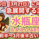 【水瓶座】情熱が❤️‍🔥準備🆗🙆‍♀️現実が動き出し、創られていく#占い#タロット占い #水瓶座