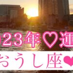 🌹 2023年✨年間リーディング🌹おうし座さん✨💖「不思議な導き」がやってくる2023年♡「古い自分」を壊しましょう🥰🌸💖【見たときがタイミング🥰】💖無料タロット💖カードリーディング💌