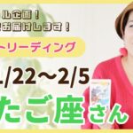 ♊️ふたご座さんへタロット生配信【1/22~2/5】