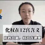 紫微斗数｜化权入十二宫含义｜旺旺屋