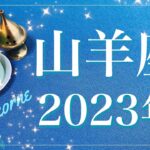 【やぎ座】2023年運勢（年間保存版）♑️成就！頑張りが報われる年、探していた答えが見つかる