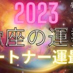 2023年　蠍座の運勢　パートナー運最高