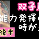 【1月後半の運勢】双子座　能力を発揮する時が来た！超細密✨怖いほど当たるかも知れない😇#星座別#タロットリーディング#双子座