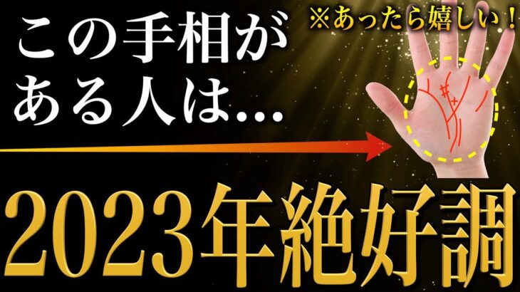 【手相占い】2023年！あったら嬉しい手相28選 前編