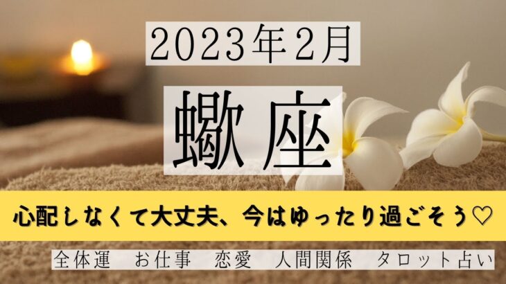 さそり座♏2023年2月 │全体運・恋愛・仕事・人間関係 テーマ別タロットリーディング