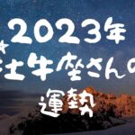 2023年の牡牛座さんの運勢♉️お仕事・恋愛・金運etc