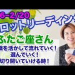 ♊️ふたご座さんへ【2/6~2/20 Tarotリーディング】知識を活かして流れて！選んで！切り開いていける時！