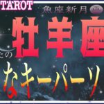 花が咲くように🌸牡羊座♈さん【魚座新月🌚メッセージ〜あなたの新たなキーパーソンってどんな人⁉️】#タロット占い #直感リーディング #2023