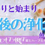 【魚座新月】2023年2月20日🌑最後の浄化パワー炸裂💥新しくスタートするために終わらせよう💖うお座新月のメッセージとサポートハーブ🌿タロット＋オラクルカード＋星読み＋アロマ