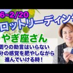 ♑️やぎ座さんへ【2/6~2/20 Tarotリーディング】周りの助言はいらない。自分の感覚を肥やしながら進んでいける時！