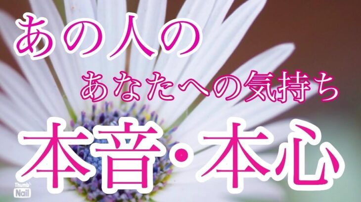 あの人にあなたへの本音を聞いてから深掘りしています✨❣️