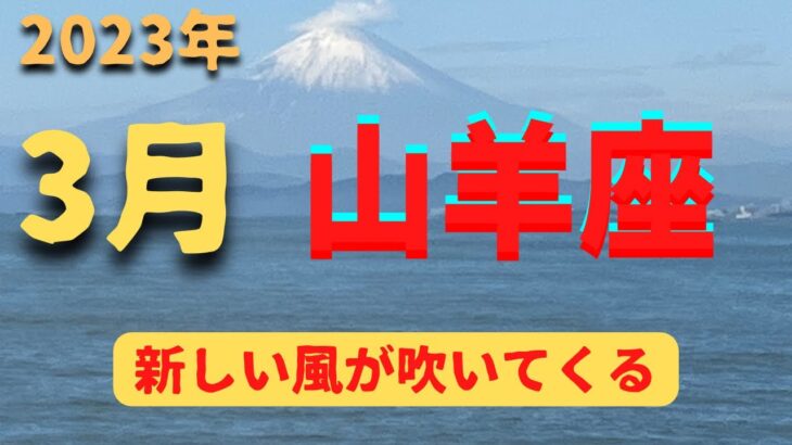 山羊座♑️3月占い🔮新しい風が吹く⭐️カードリーディング✨✨