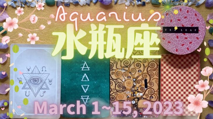 水瓶座★2023/3/1～15★今までの努力を無駄にしないためにも、魔が差さないように要注意な時 – Aquarius – March 1~15, 2023