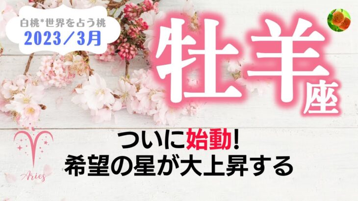 牡羊座♈2023年3月★ついに始動！希望の星が大上昇する