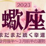 蠍座🍀2023年２月後半～３月の運勢💗人との関わり円満、恋愛運最高🌟タロット＆オラクル【全体運】【人間関係】【仕事運】【恋愛運】