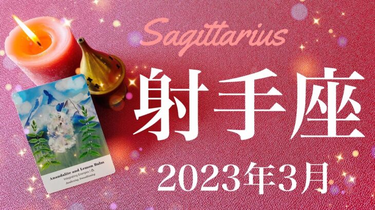 【いて座】2023年3月♐️来てる！新しい幸せの始まり、生まれでる長年の思い、ゼロからのスタート、すっきりと次へ踏み出すタイミング