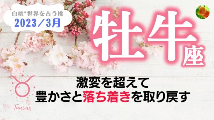 牡牛座♉2023年3月★激変を超えて、豊かさと落ち着きを取り戻す。