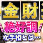 【金財運】金運！財運！絶好調かも！！手相を要チェック！！