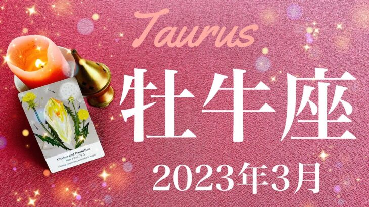 【おうし座】2023年3月♉️最強のクライマックス！最後の大転換、ここから復活、明らかに変わる流れ、始動、新しい世界へ