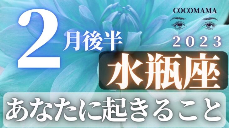 水瓶座♒️ 【２月後半あなたに起きること】2023　ココママの個人鑑定級タロット占い🔮