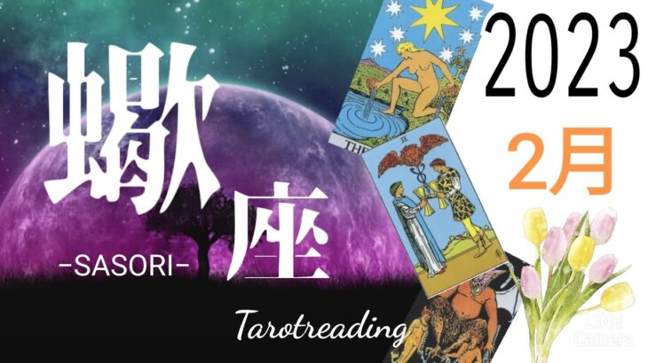 【2023. 2月蠍座】その出来事の裏の意味は何？🌱あなたに訪れる幸運を探る✨#タロット　#蠍座　#占い