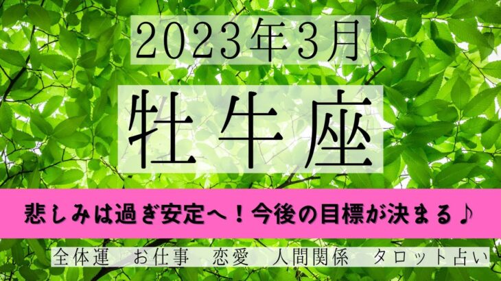 おうし座♉2023年3月 │全体運・恋愛・仕事・人間関係 テーマ別タロットリーディング