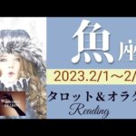 【うお座】2023年2月前半 タロット占い～運命的展開❇️あなたは上昇🌈していく人。価値を認め導きに従って～