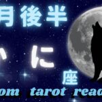 【♋️かに座】2月後半の reading           ひとつ乗り越えお宝を受け取る🌈そして高みを目指して次のステージへ