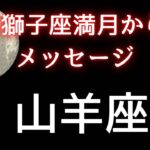 山羊座♑️2/6獅子座満月からのメッセージ⭐️カードリーディング✨ゆーのお知らせ