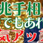 【一つあれば吉】この吉兆線があれば運気アップする吉兆手相を紹介!【島田秀平のお開運巡り 島田秀平  しまだしゅうへい 開運巡り  切り抜き simadasyuuhei】