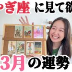 必見です。今年の最も重要な月が来ました!!【やぎ座3月の運勢】とうとう決断と旅立ちの時です。本当に大切な月！！