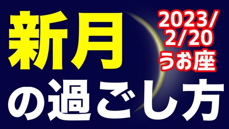 関係性のシフト期間！2023/2/20 うお座新月のオススメの過ごし方＆お願い事を解説！【魚座】