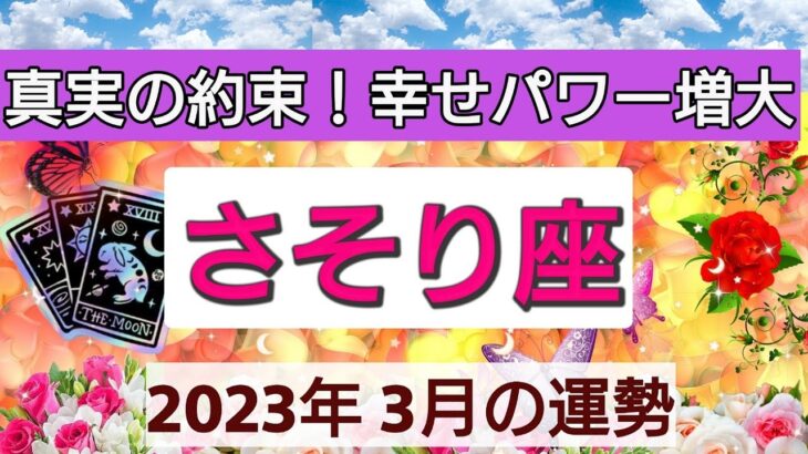 蠍座【2023年３月の運勢】💕真実の約束！幸せパワー増大👑星とカードで徹底リーディング🌸