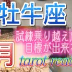 【♉牡牛座さん】2023年3月✨運勢、アドバイス🪐忖度なし🙋乗り越えた先に喜びあり❣️