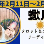 蠍座さん♏️乗り越えたあなただから感じられる、冬の日差しのあたたかさ♡無限の可能性の塊、自分と日の出を眺める！ #蠍座 #さそり座 #12星座別 #タロット #タロットリーディング #タロット占い