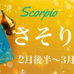 さそり座♏️2023年2月後半〜3月前半🌝やっぱり来てる…ここで叶う、成就と完結、卒業はもうすぐ