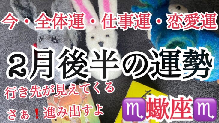 ♏️蠍座♏️【2月後半の運勢】🦂今・全体運・仕事運・恋愛運🦂